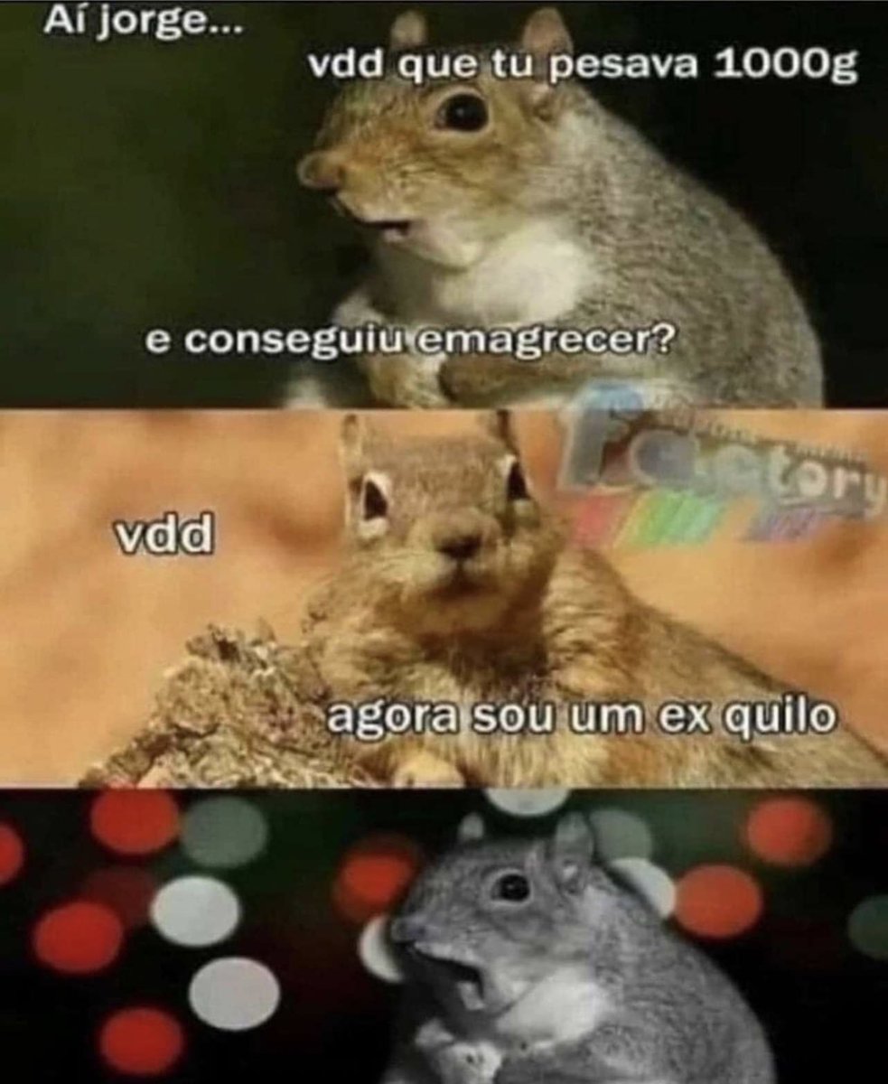biologia_braba's tweet photo. https://t.co/8YlgMyIacs