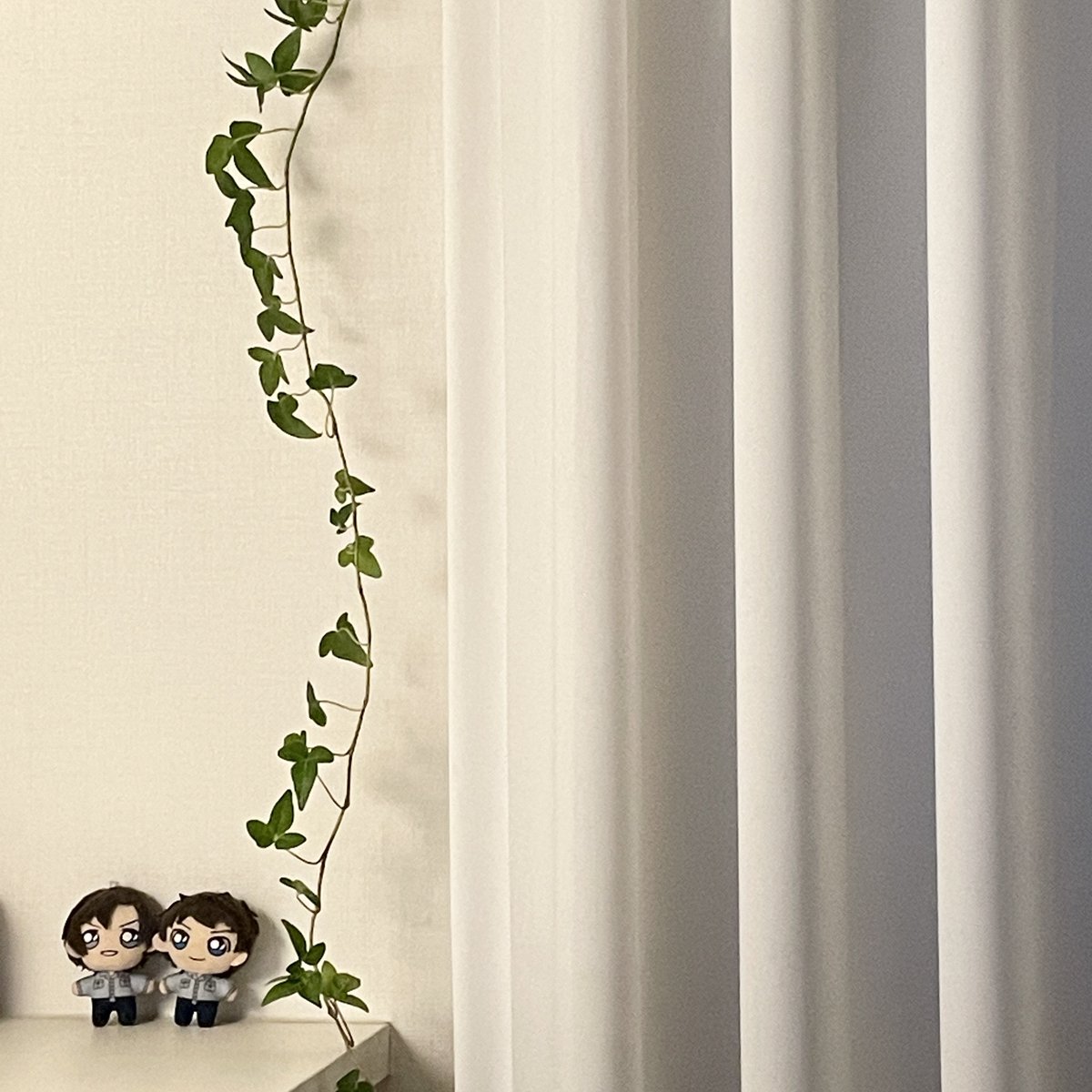 kou (@_00dc) on Twitter photo 