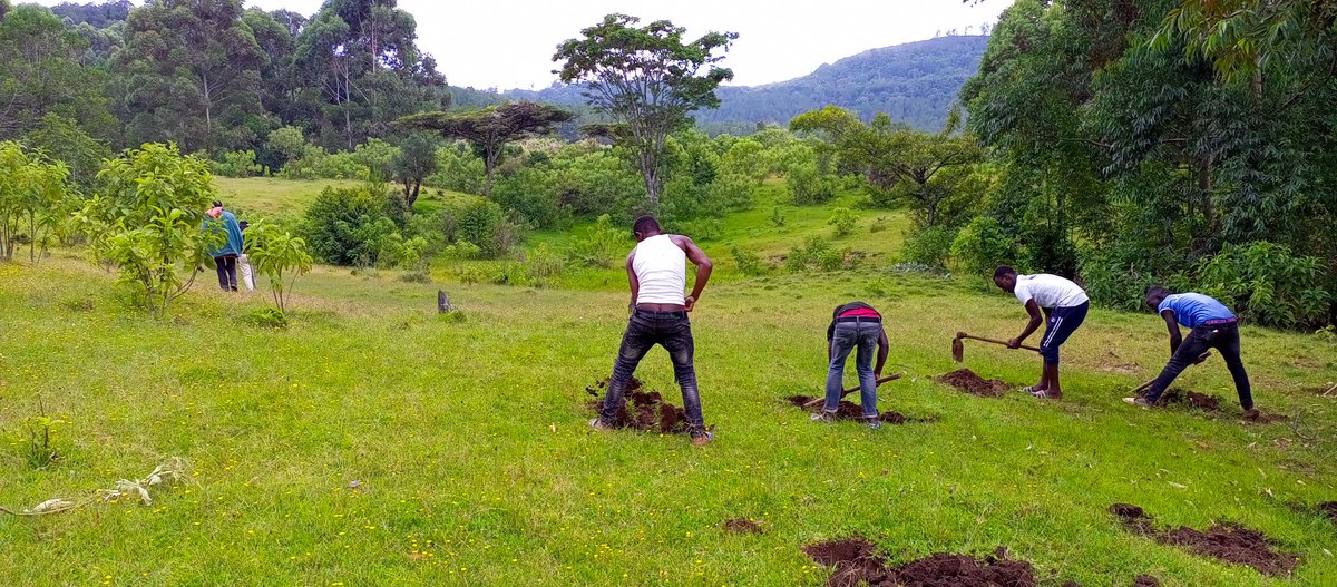 tranfo2030's tweet photo. It is with great pleasure that we invite you to join us and extend your support for the International Mountain Day event, scheduled for 11th December 2023, at the iconic Mt. Blackett (Tuluap) in Londiani Kericho county
"Restoring Mountain Ecosystems" https://t.co/vueqV8pTmp