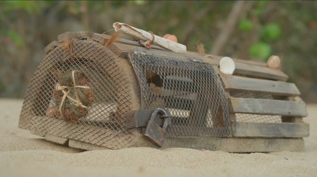 Survivor Saturday Take VII and the penultimate Saturday of the season. Tonight on <a href="/BBCOne/">BBC One</a> at 21:00 the final 7 can see the title of Sole Survivor in the distance but mistakes are made &amp; the jury bench needs a space filled. Who will it be?
#BBCSurvivor #SurvivorUK