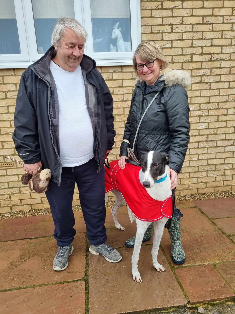 Barley Greyhound Sanctuary tweet media