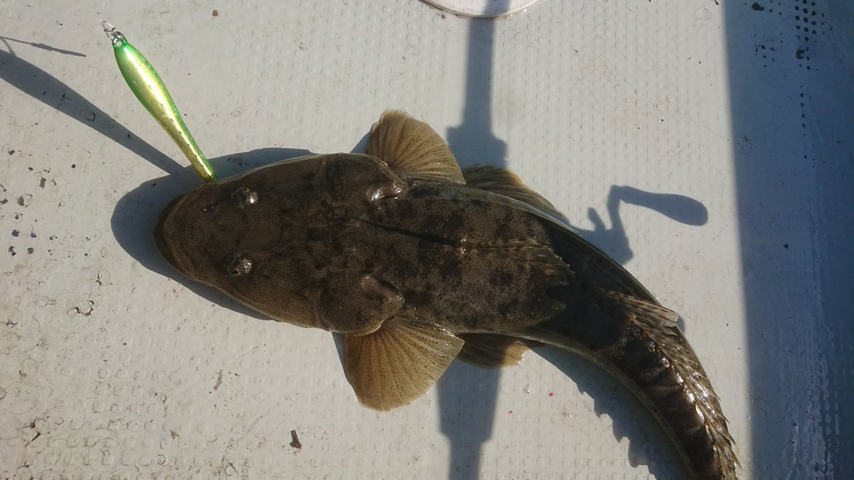 ＭＫＣ tweet media