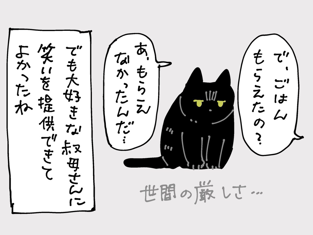 ごはんは貰えなかったそうです