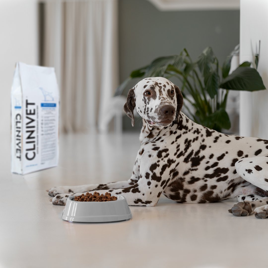 Clinivet Super Premium Nutrition tweet media