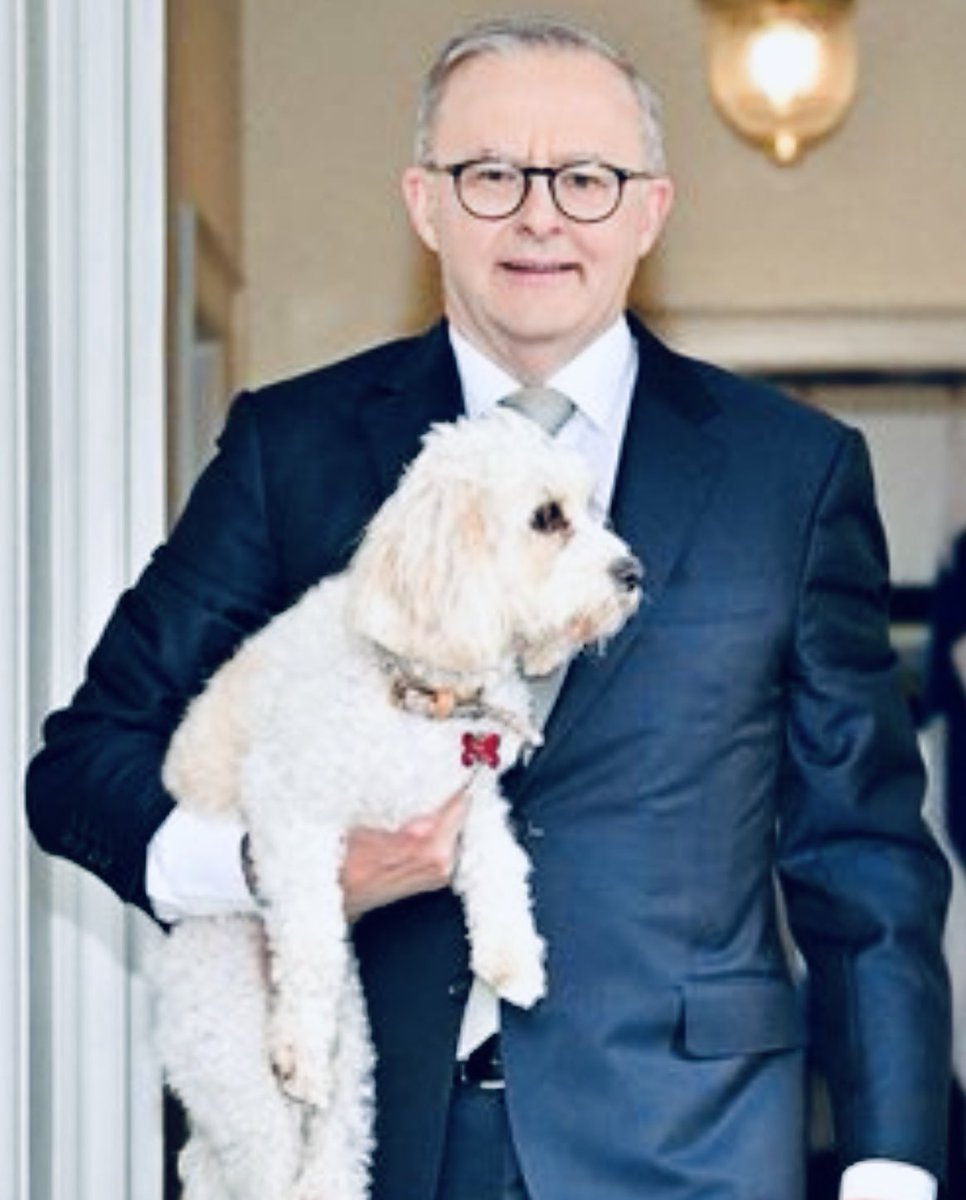 #IStandWithToto 🐶😍👏