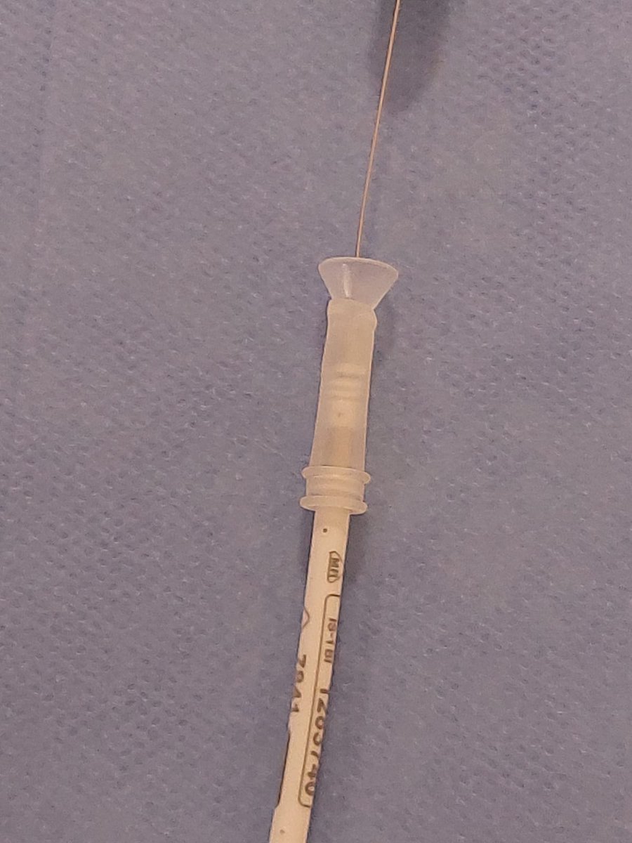 Wallyson Fonseca tweet media