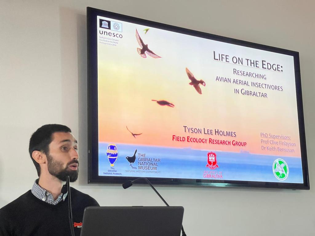 @Uni_Gib @GibGerry @DrAlexMenez @gonhsgib We end the morning session with @TysonLeeHolmes of the @GibraltarMuseum and @Uni_Gib with 'Life on the Edge: Researching avian aerial insectivores in #Gibraltar'