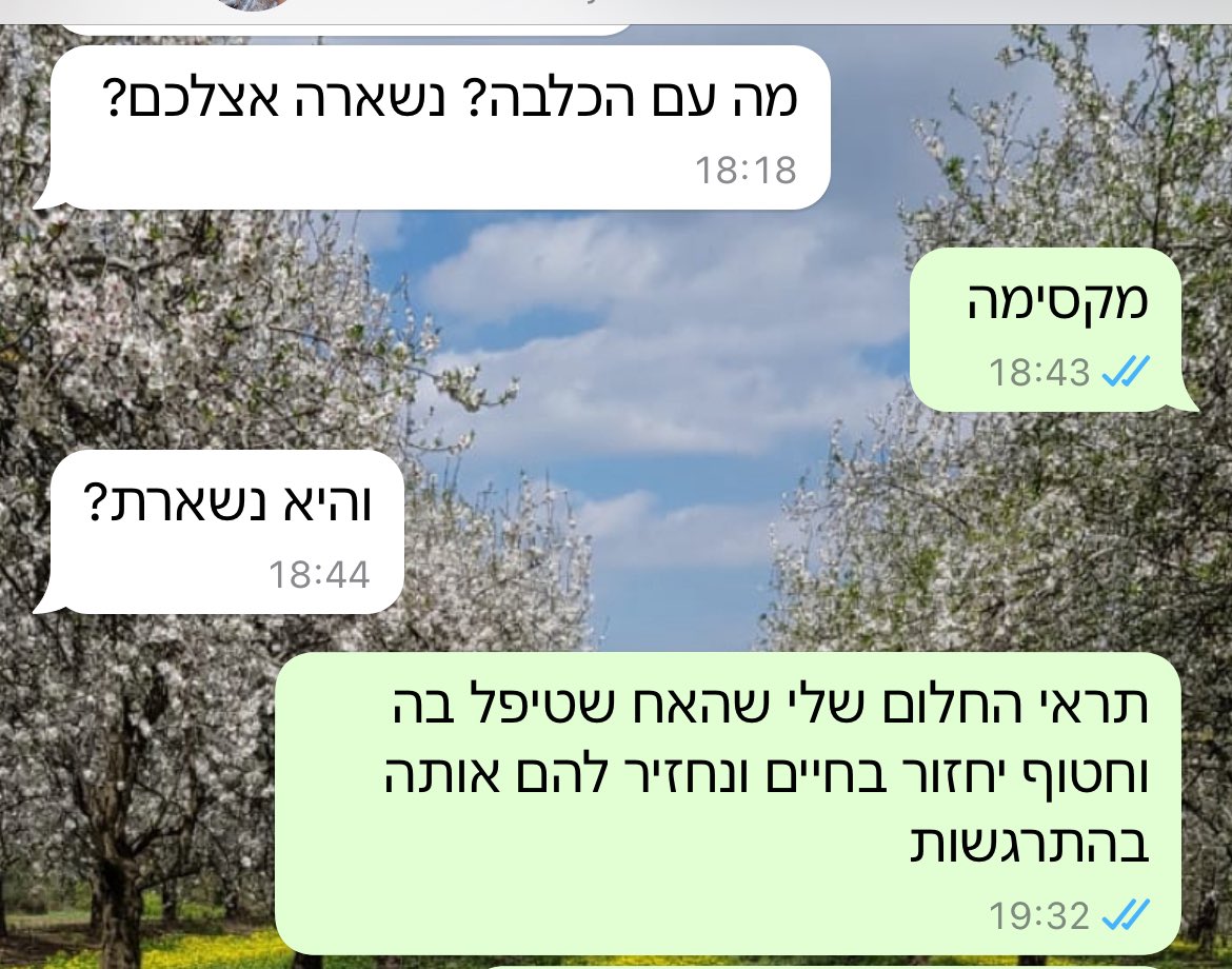 בשבוע השני של הלחימה קיבלנו את פפסי הביגלית של סהר לאומנה והייתה זו אהבה ממבט ראשון, השבוע הבעתי תקווה שנוכל להחזיר לו אותה למרות האהבה אליה והתבדיתי. במהירות בה גילינו שהוא חטוף כך גם הבנו שהוא נרצח באכזריות על ידי מפלצות אדם. 
תנחומיי למשפחת ברוך וקיבוץ בארי.
#BringThemHomeNow