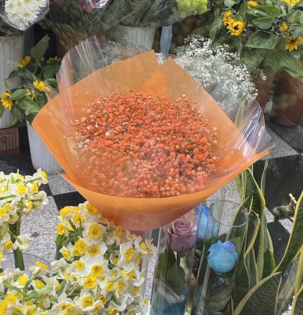 با اختلاف زيباترين دست گل🥲