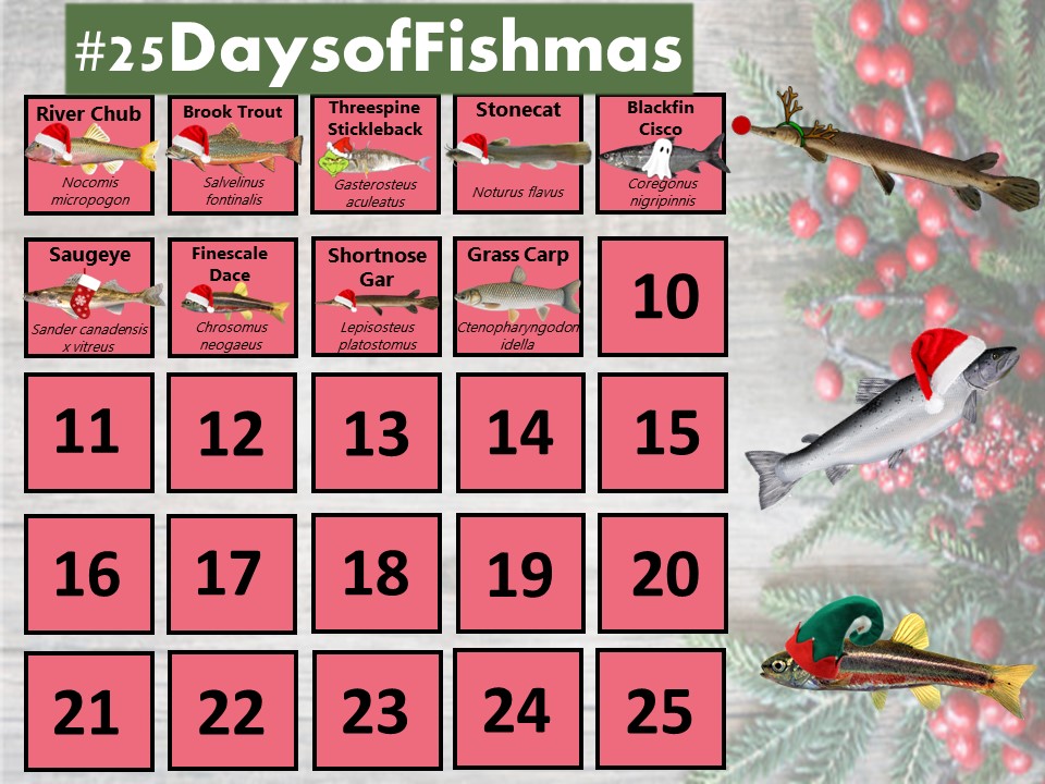 Katie O'Reilly tweet media