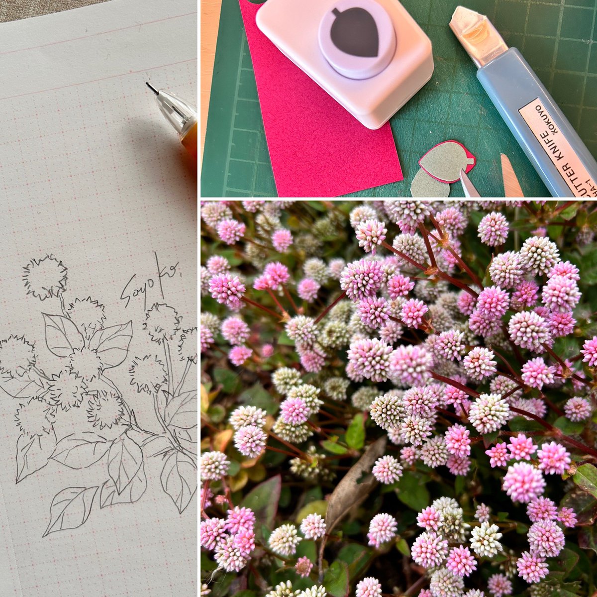 ponko345's tweet photo. 道端でよく見かける小花を作りました。
見てくださった方々が心安らぐように願っています。
花言葉は「愛らしい」「思いがけない出会い」
#quillingart #papercraft #smartweed #handmade #クイリングアート #ペーパークラフト #ヒメツルソバ #姫蔓蕎麦 #ハンドメイド https://t.co/T46NQ4YALj