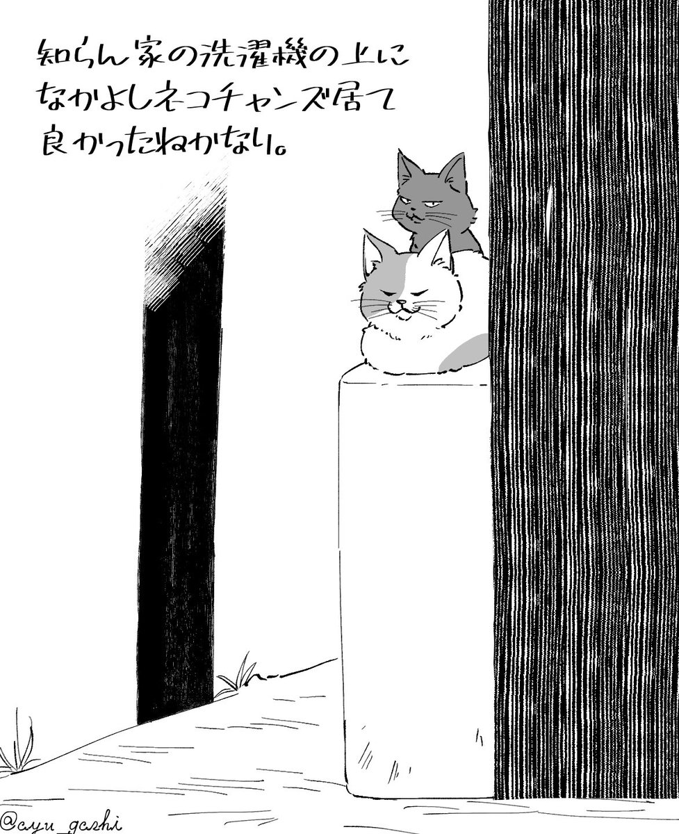 猫絵日記 番外編 