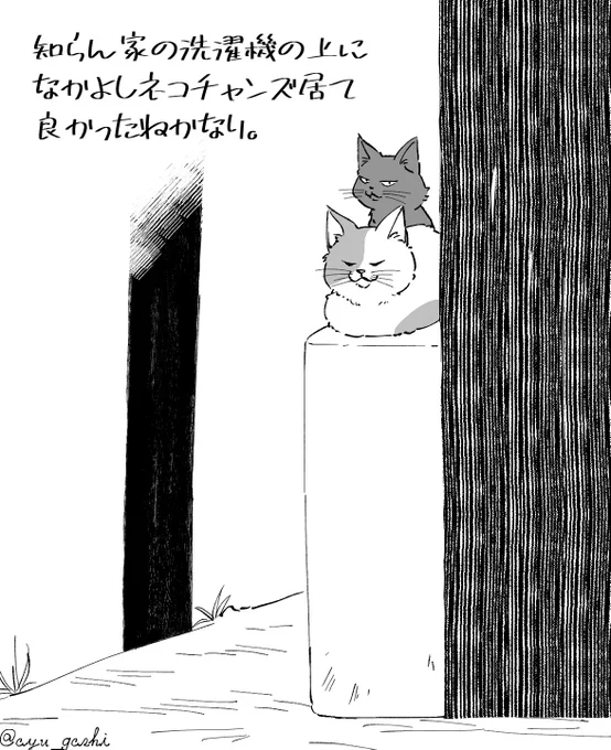 猫絵日記 番外編 