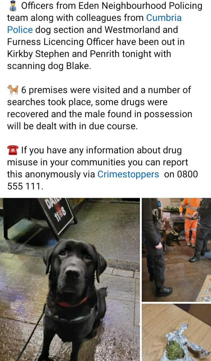 Peadair Murchu tweet media