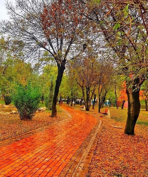 Batman72comtr's tweet image. Batman'da Son Baharın Bitişi İle Arkasından Bıraktığı Muhteşem Görüntüler 
#Sonbahar #Bitişi
@Batman72comtr