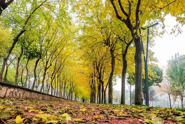 Batman72comtr's tweet image. Batman'da Son Baharın Bitişi İle Arkasından Bıraktığı Muhteşem Görüntüler 
#Sonbahar #Bitişi
@Batman72comtr