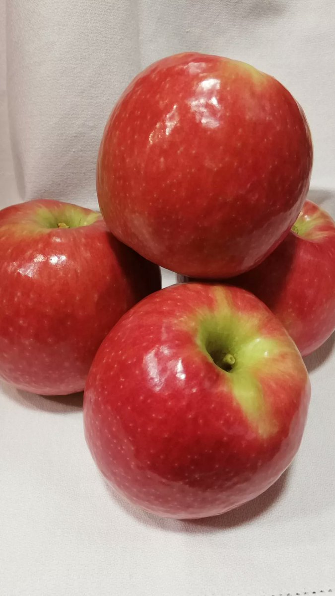 roteixido's tweet photo. @Cers71716088 @PostureigLleida Les nostres Pink Lady..
#fruitadelleida https://t.co/SQihjhrqKO