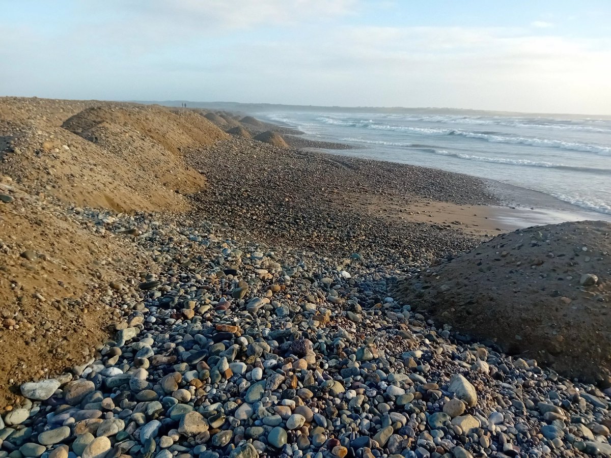 Tramore Eco Group tweet media