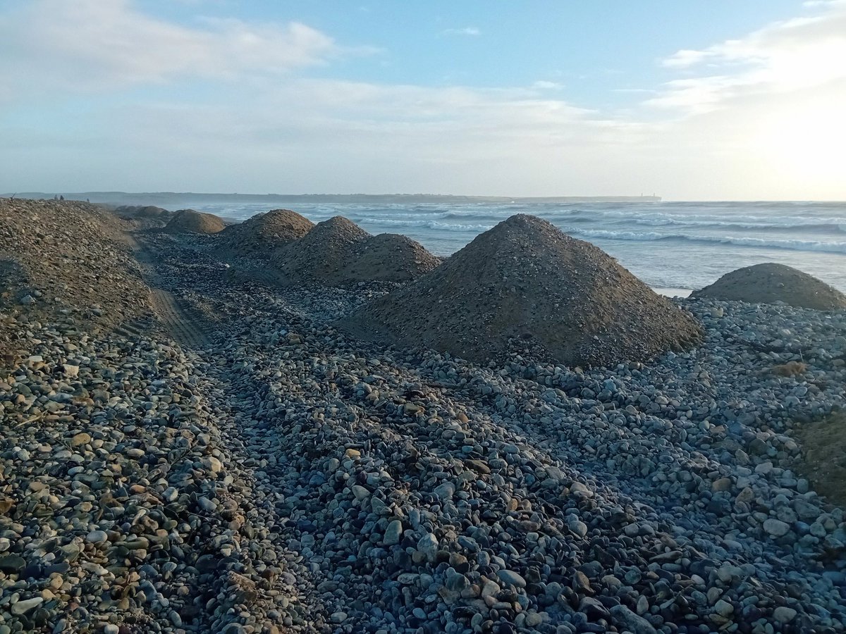 Tramore Eco Group tweet media