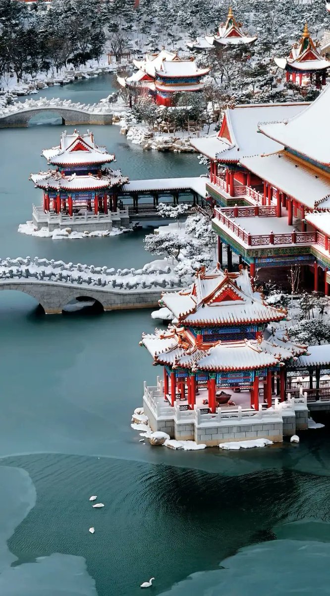 中国·山东——
雪后蓬莱仙境~