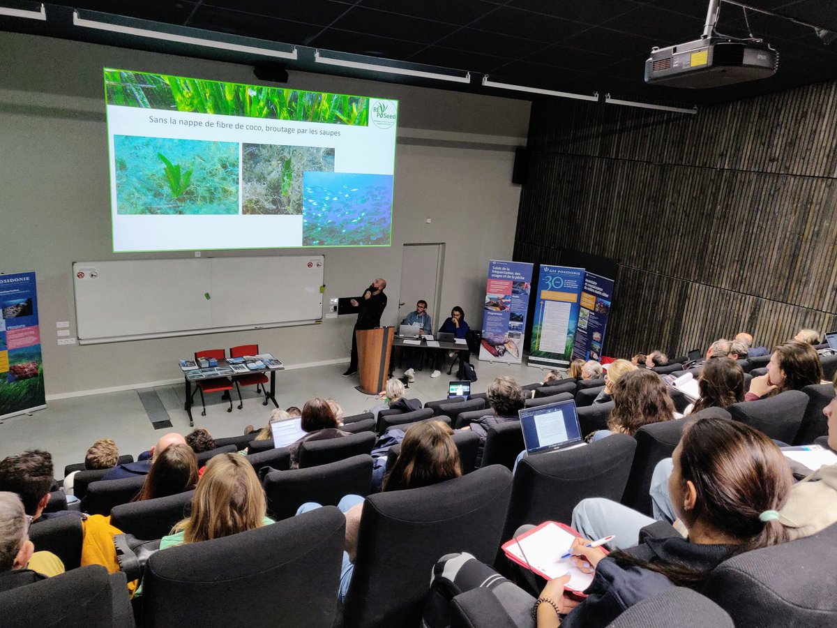 WalkerAnnabel2's tweet photo. Mes étudiants en Gestion et protection de la nature du CFPPA de Marseille ont été captivés par les expériences de restauration de #Posidonie, puits de CO2 majeurs, lors de l'AG du Groupement d'Intérêt Scientifique GIS Posidonie.
STOP à l'arrachage par les ancres de plaisance⚓ https://t.co/ghyOLpmh4H