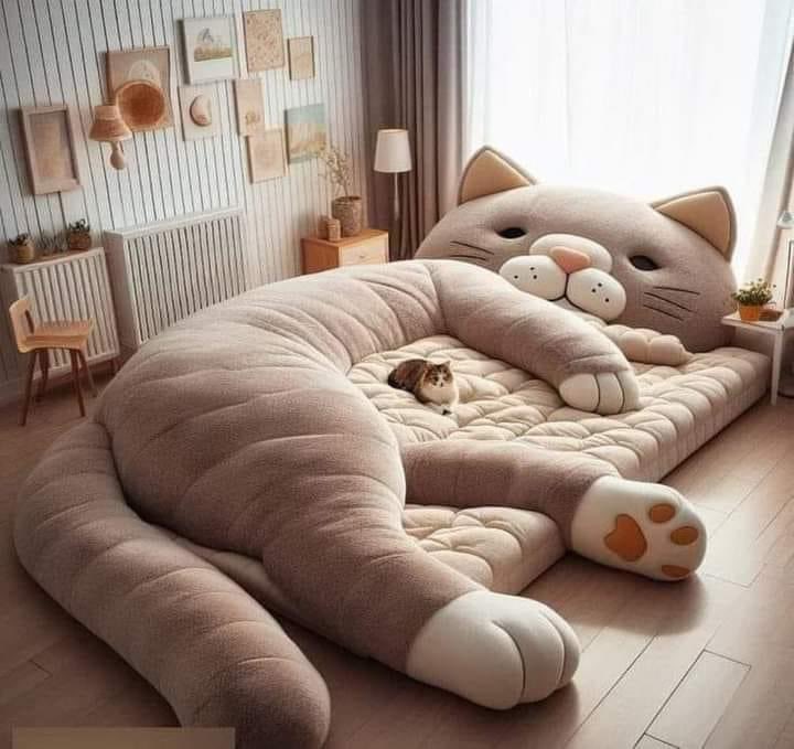 JacalynMer16770's tweet photo. Amazing bed 😱 https://t.co/AYjnvgrrR7