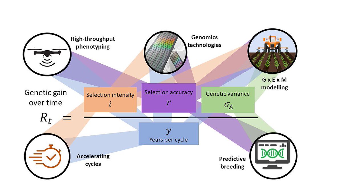 We are running a “Next Generation Breeders Workshop” 17-18th March 2024 prior to the German Plant Breeders (GPZ) conference at Geisenheim University in the beautiful Rheingau region of Germany!

Submit your expression of interest using the following link: 
gpz-breeding-conference-2024.de/nextgenbreeders