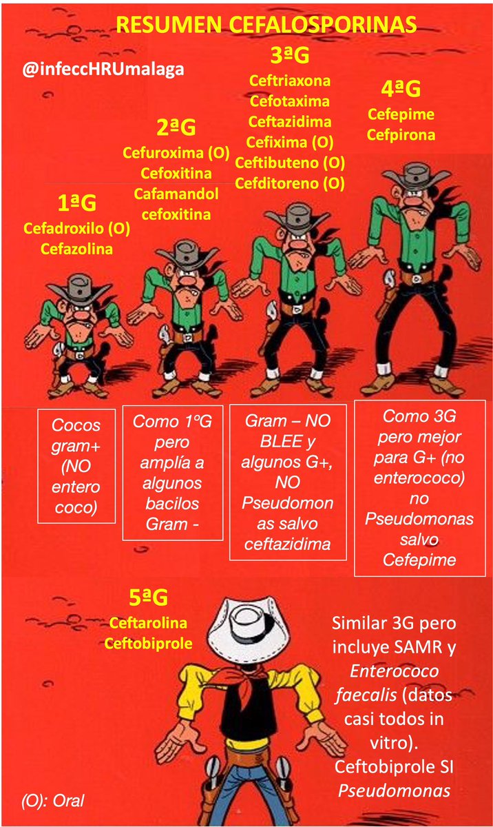 Las #CEFALOSPORINAS son antibióticos muy utilizados, os dejamos un resumen de las principales #CEFALOSPORINAS según su #generación  👶🏻👧🏻👨🏻🧓🏻y #espectro 👻 y cuáles son ORALES 💋