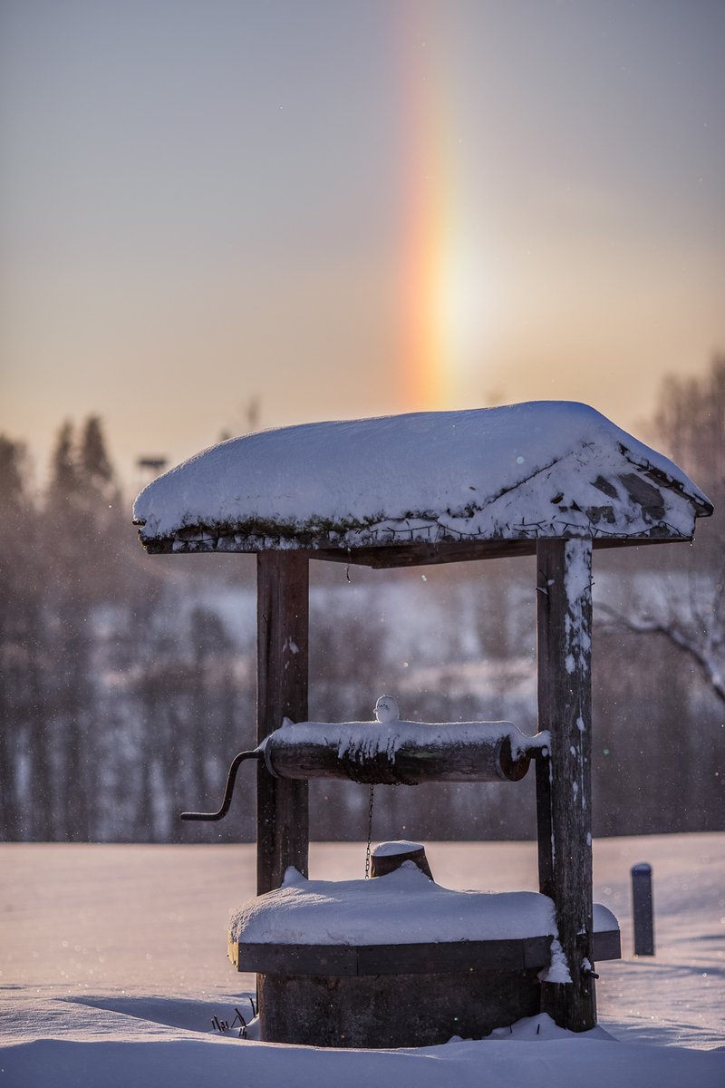 お分かり頂けただろうか？

…超レアものの、キラキラな雪片の夕暮れの虹のときにしか姿を現さないおばけたん？

＃しろたん