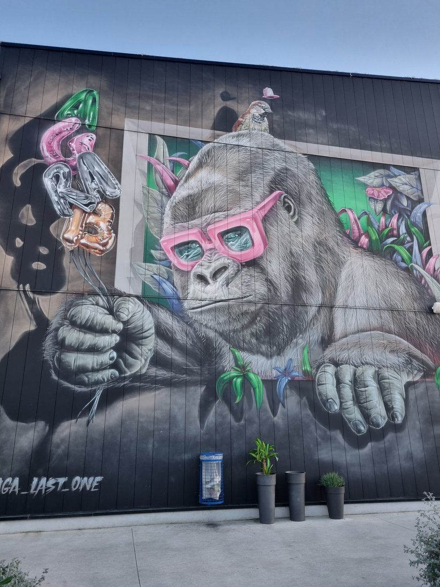 #SaturdayArtFever KingKongFive à Arles