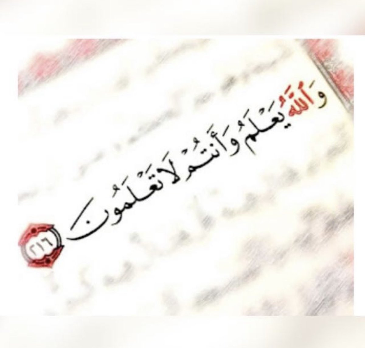 EBDA3_PNU's tweet photo. اجعل كل أعمالك لوجه الكريم 👇🏻👇🏻👇🏻 https://t.co/s6Dohngf3M