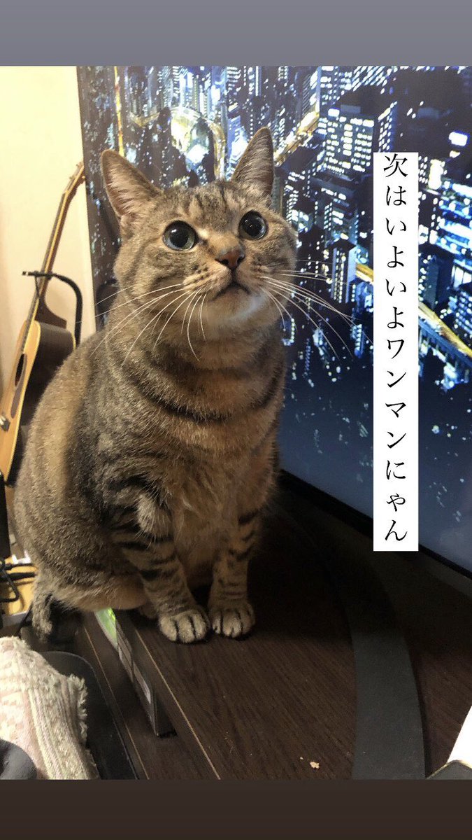 kaorukooo's tweet photo. STANDALONE / Parallel Lines

movie by @kasai0829 

今月22日のワンマン予約まだまだ受け付けております。おそらく20曲くらいやります。頑張るよ僕たち。 https://t.co/izpGFWaA96