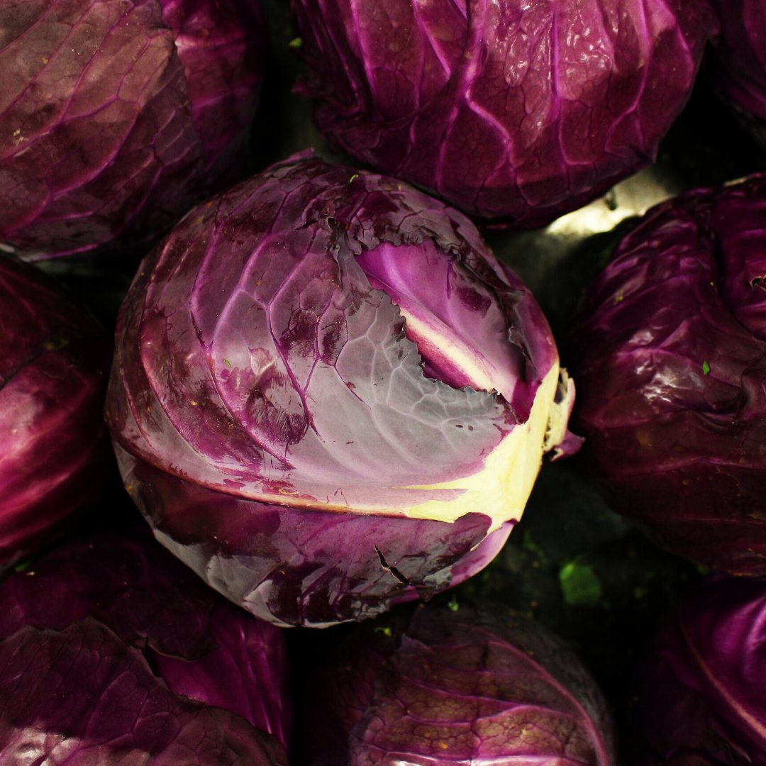 TLHFF's tweet image. Embrace the vibrant colours of the season with our UK Red Cabbage, which is looking tasty at the moment.😍 It is definitely one to add on to your menus! 

🔴Code: 9783 

#RedCabbage #UKRedCabbage #RedCabbageSeason