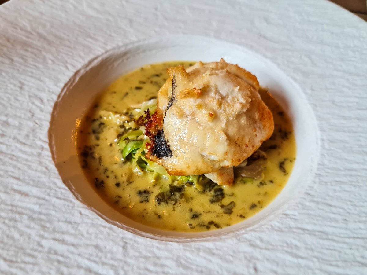 Ed Gilbert - Gourmet Gorro tweet media