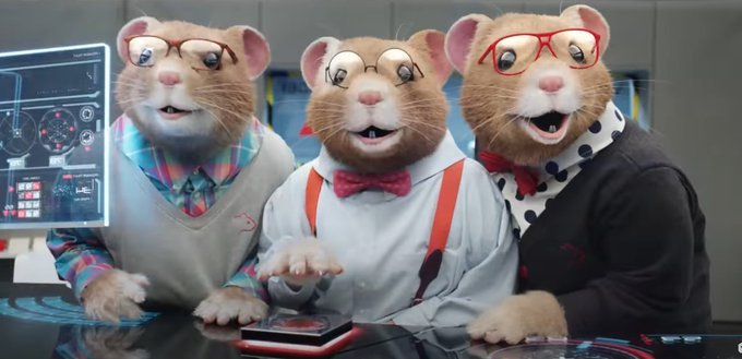 햄스터 공주🐹 tweet media