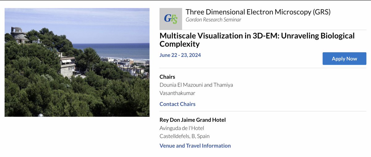 Dounia El Mazouni tweet media