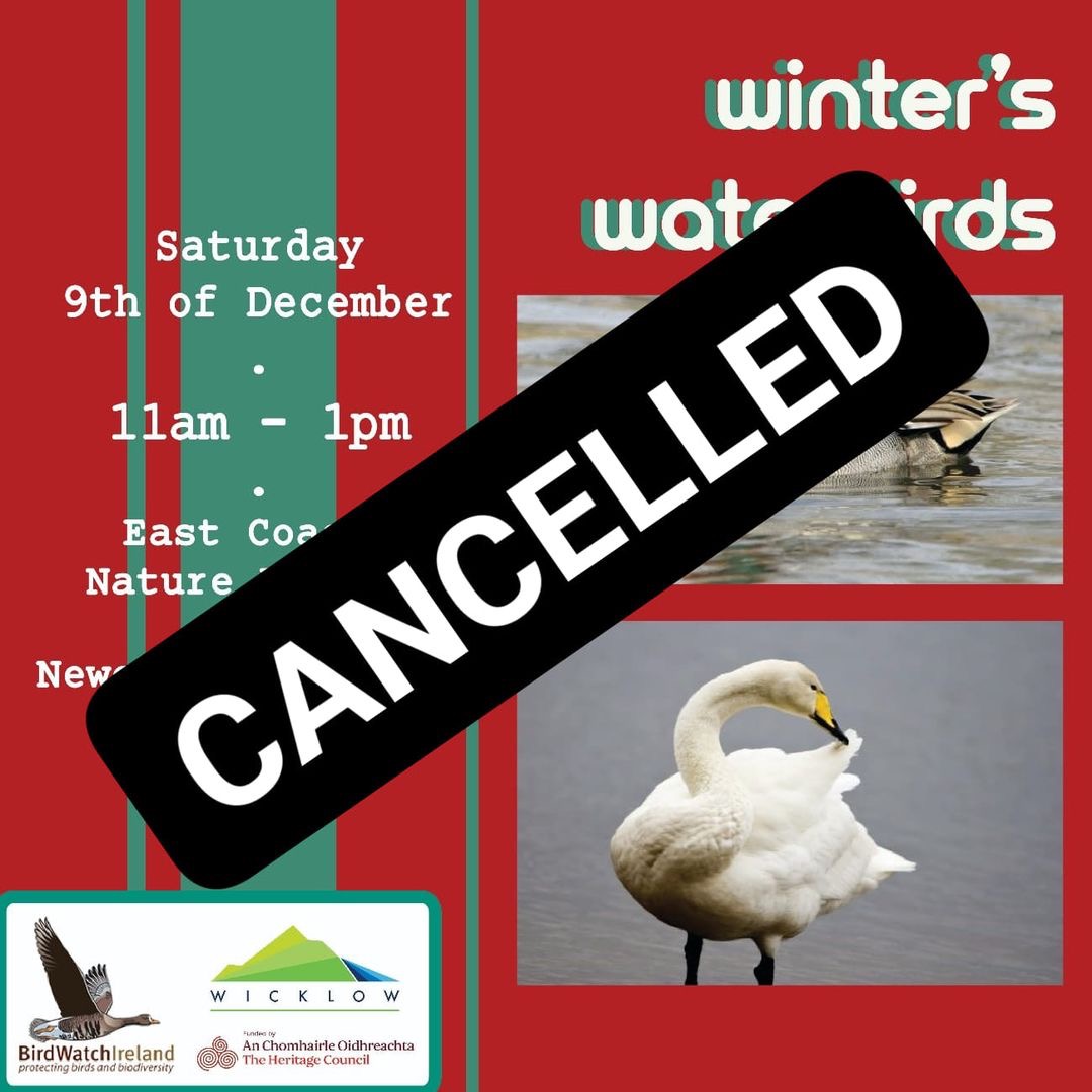 Cancellation: Today's Outing to East Coast Nature Reserve: Due to the Status Orange wind warning issued overnight for Co. Wicklow by Met Eireann for Storm Elin, today's Outing to East Coast Nature Reserve has been cancelled. Stay safe.