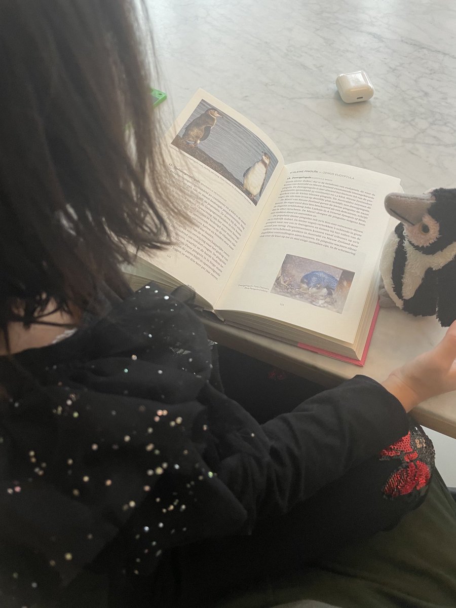 peter_plasman's tweet image. 4-jarige fan van ⁦@MarcelHaenen⁩ en zijn #pinguins