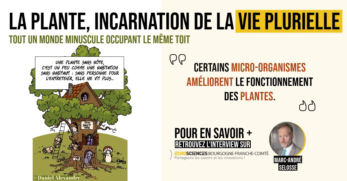 Bourgogne-Franche-Comté Nature tweet media