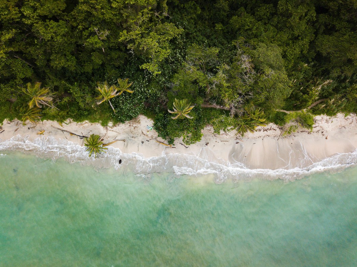 ACU's #Commonwealth Climate Resilience Network led by <a href="/FNUFiji/">Fiji National University</a> connects #universities across borders to share knowledge and best practice to develop solutions &amp; build resilience to #ClimateChange 🌱   

Join here 👉 buff.ly/41eroi0 

#COP28 #UnisForOurPlanet