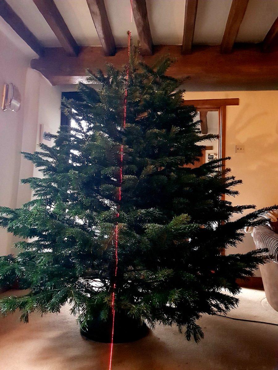 Just an engineer with mild OCD putting up this year's Christmas tree.