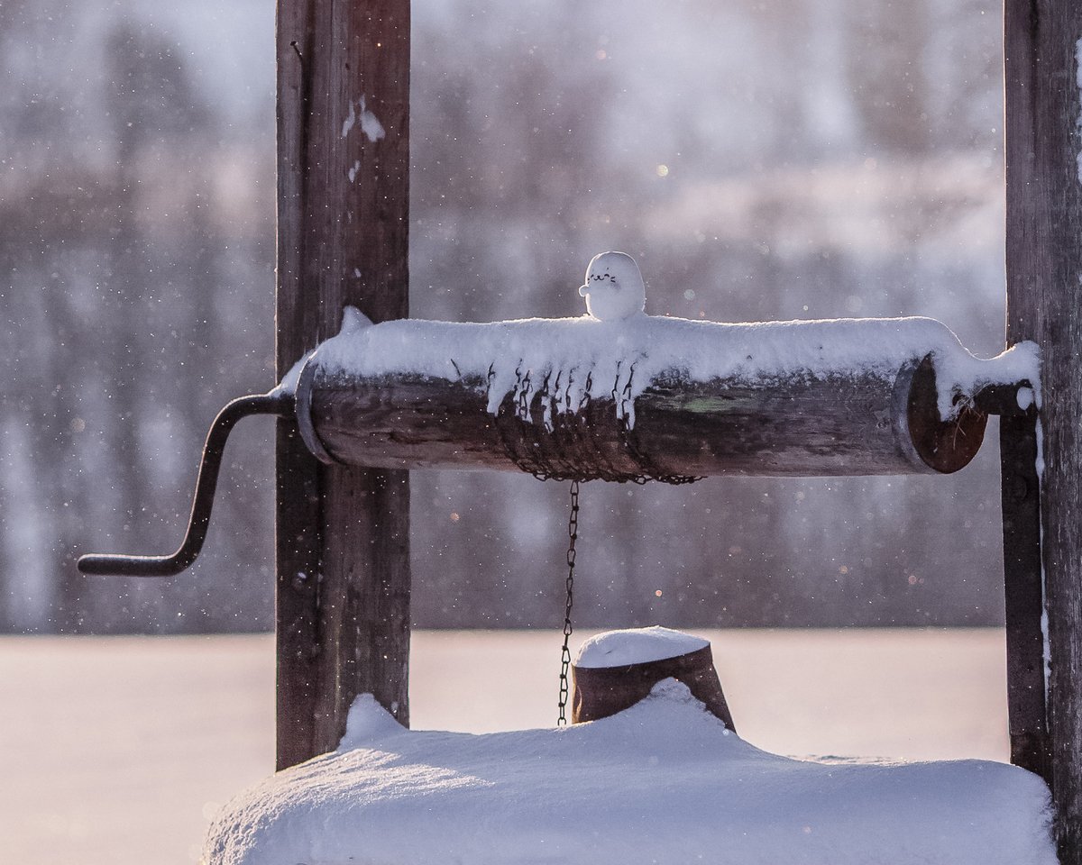 小さなおばけたん

#しろたん
