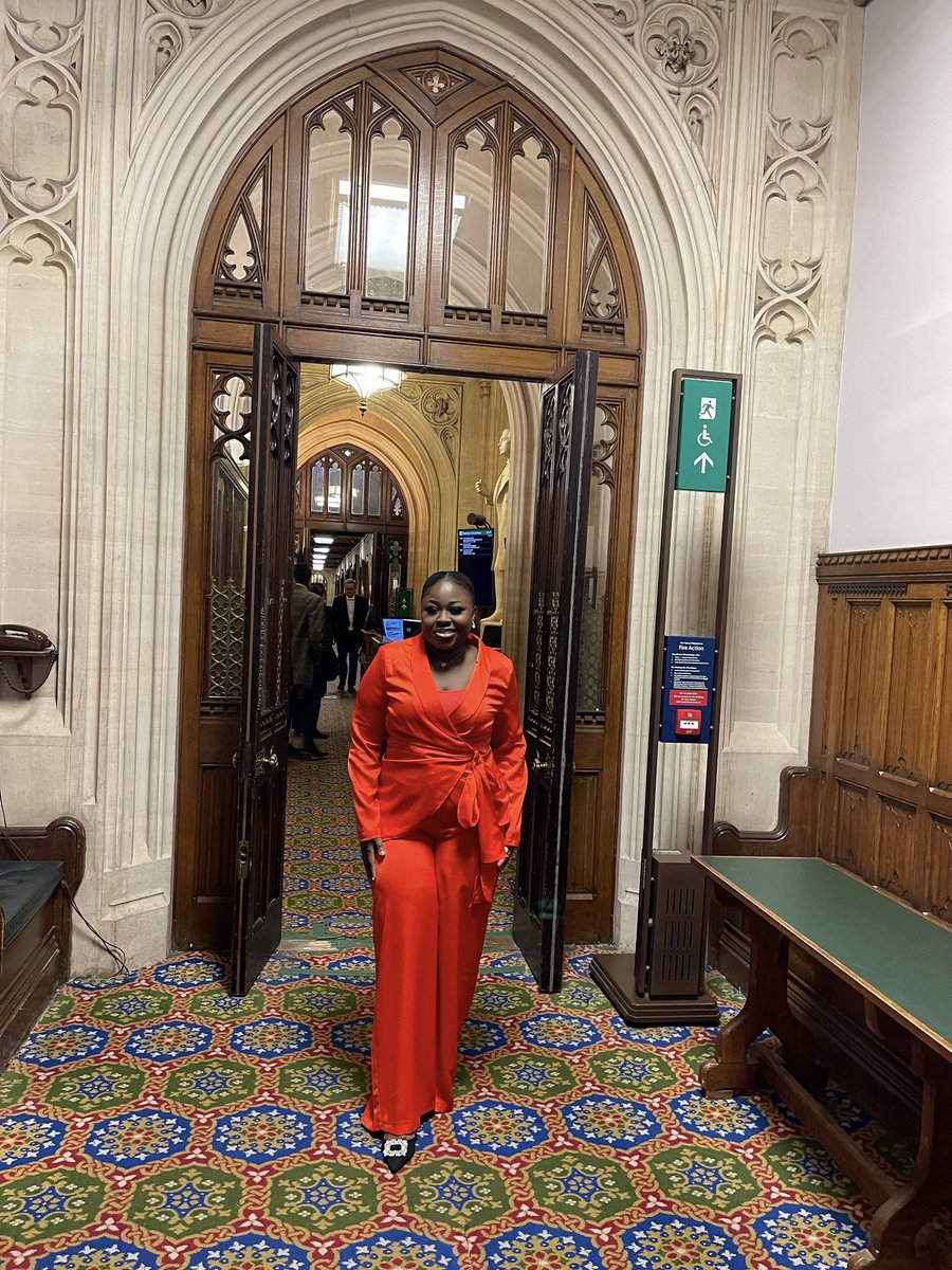 As we approach the culmination #16Days, we engaged in an insightful APPG briefing on #16DaysOfActivism led by <a href="/unwomenuk/">UN Women UK</a> team n hosted by APPG Chair Dame Maria Miller MP in Parliament.
#NoExcuse #OrangeTheWorld   #EndGBV #anijieglobalfoundation #maudtivation #maudlynakosuaawuku
