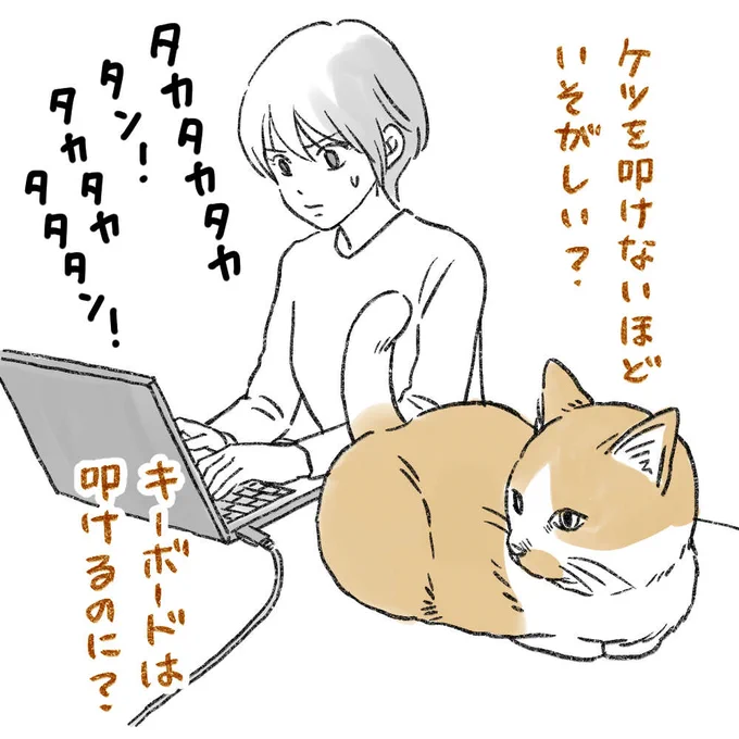 ケツを叩いて欲しい猫(3)