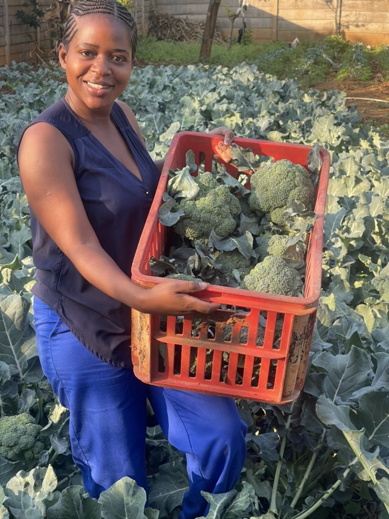 If you believe you can succeed through farming, please like and retweet.