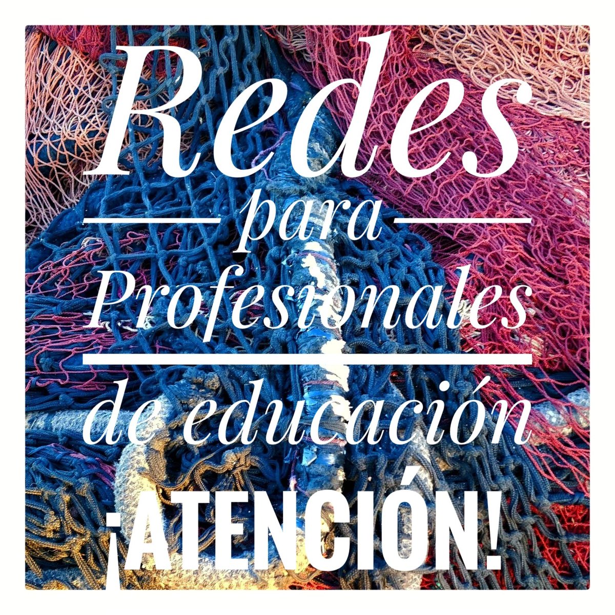 mjgcorell's tweet photo. Buscamos personal docente para crear redes de apoyo, para trabajar por la inclusión y combatir la soledad. 
Si te interesa añade nombre y ciudad o comunidad autónoma en la que trabajas. https://t.co/O4uSMwnosp