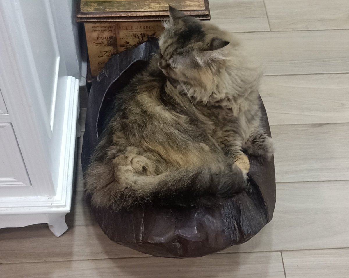 have a nice weekend 🐱❤️