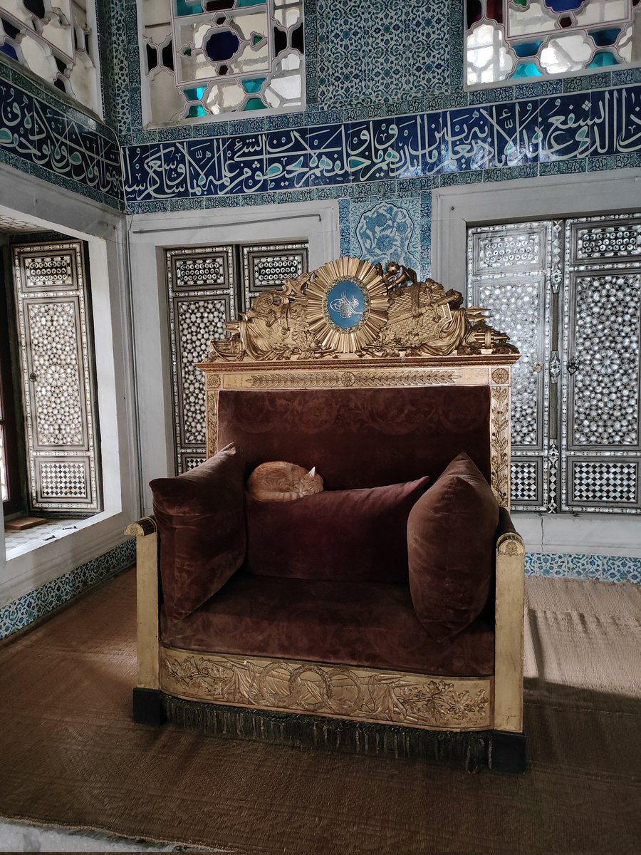 CatImperator's tweet photo. Visiting #Topkapi today.

The best part? I was honored to get an audience with the true ruler of Istanbul. 

The #Cat Sultan!

What a #Caturday :) https://t.co/nyo9c9H1oz