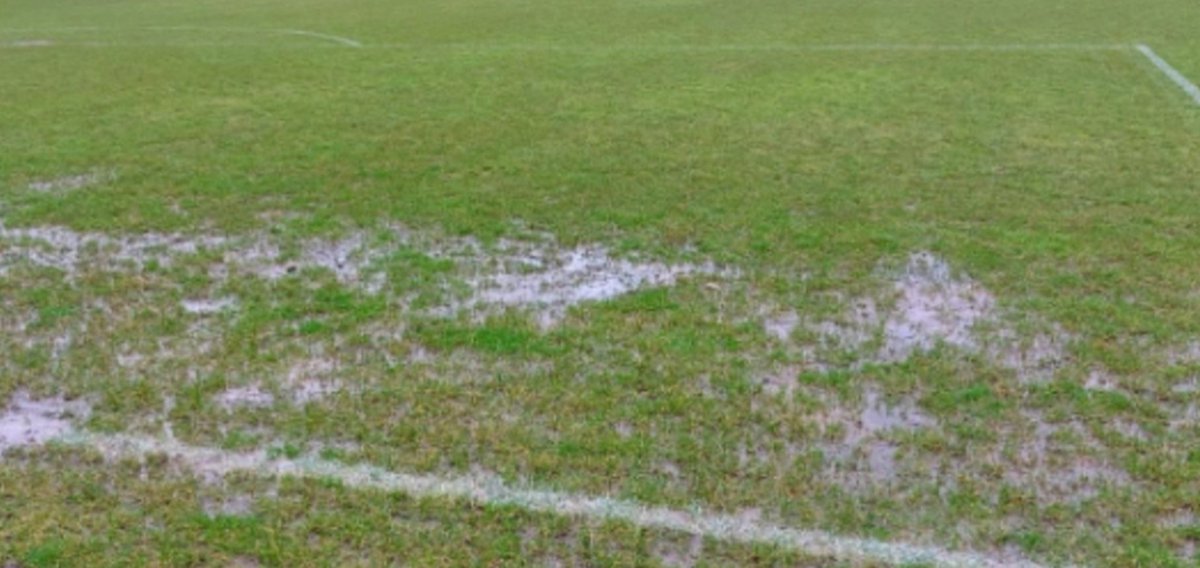 Radical Referee tweet media