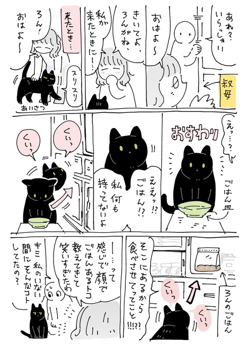 #ろんの絵日記 ろんさん、私のいない間に叔母さんに賢さと食いしん坊さの合わせ技を披露して爆笑をかっさらっていたらしい 